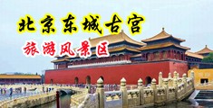 大鸡巴操小穴在线免费视频中国北京-东城古宫旅游风景区